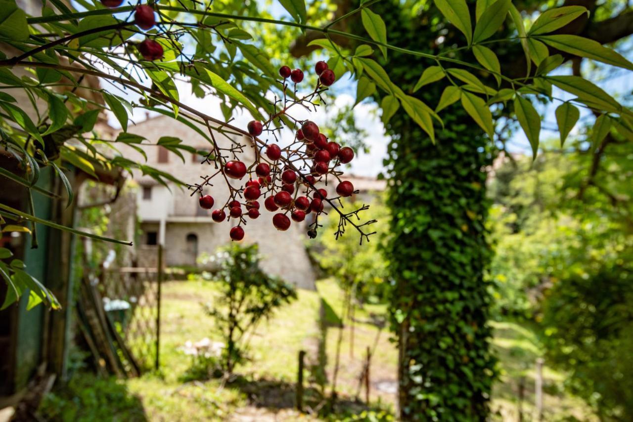 Perfetta Letizia Casa Vacanza Assisi Buitenkant foto