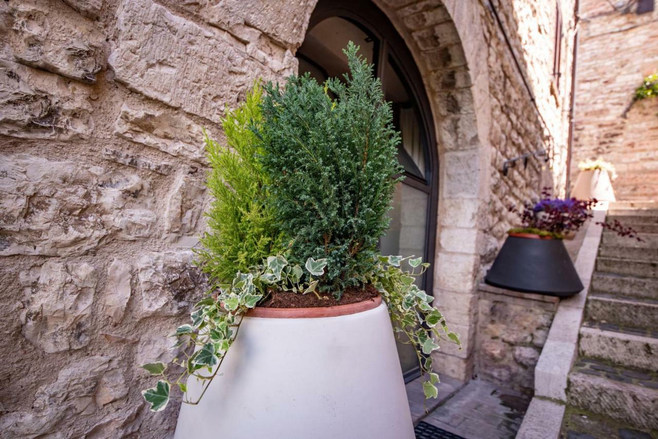 Perfetta Letizia Casa Vacanza Assisi Buitenkant foto
